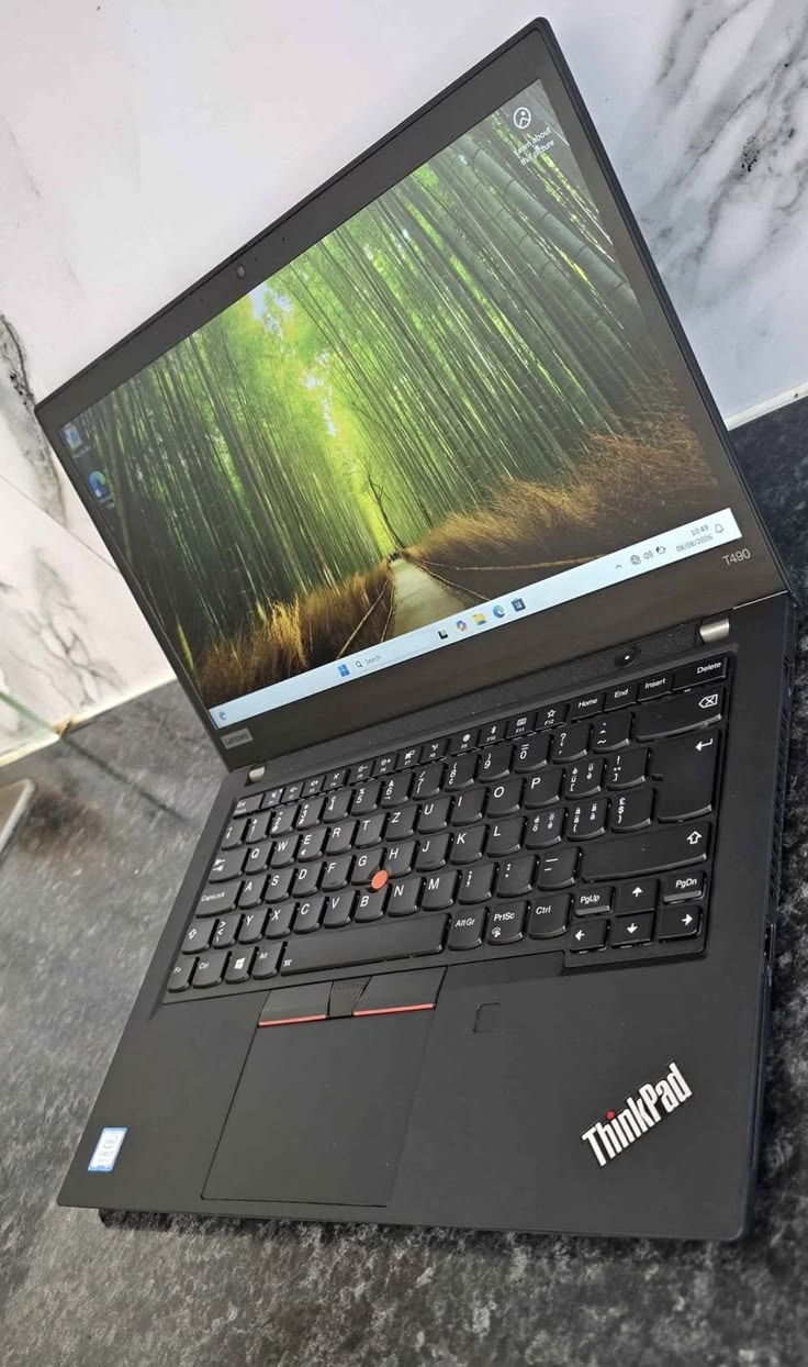 LENOVO THINKPAD T490